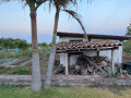 Shed, Palms, and Garden, at Villa, Acireale, Sicily